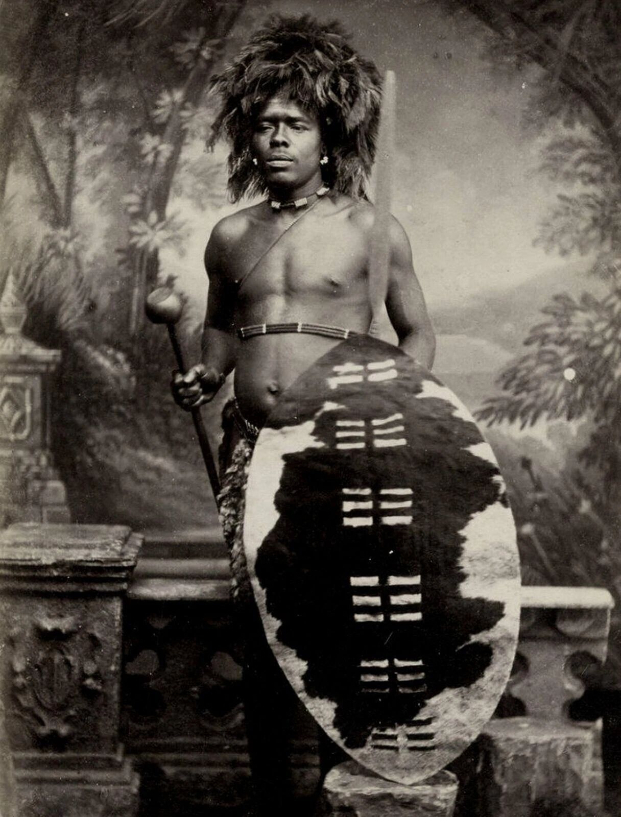 1880S Zulu Warrior African Tribes Man With Shield Classic Poster Photo