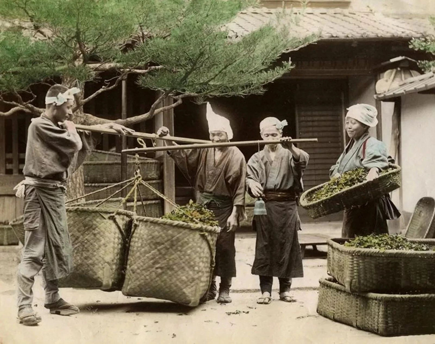 1887 Japan Weighing Tea Historic Japanese Work Life Picture Photo