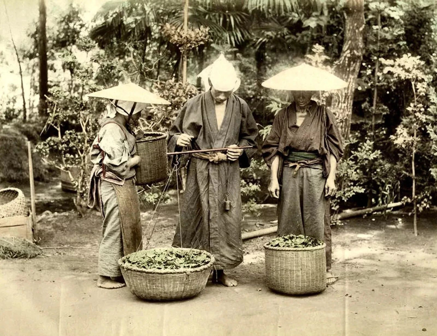 1887 Japan Weighing Tea Historic Japanese Working Life Picture Photo