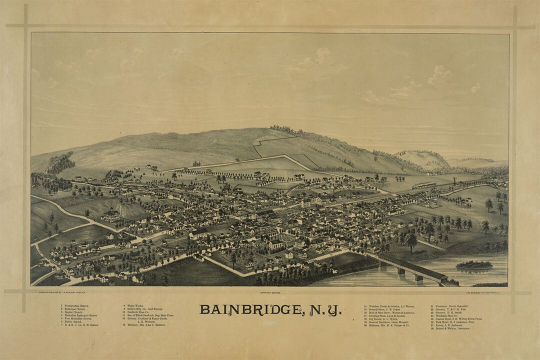 1889 Bainbridge New York Vintage Old Panoramic Map Wall Art Poster