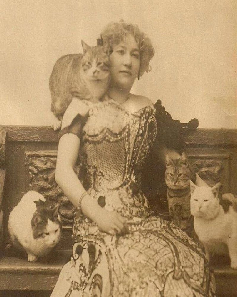 1890 Cat Woman Classic Retro Historic Poster Picture Photo Print