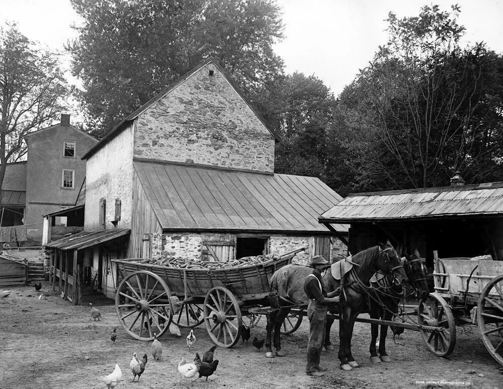 1900 1906 Farm Yard Germantown Pa Pennsylvania Old Photo Reprint