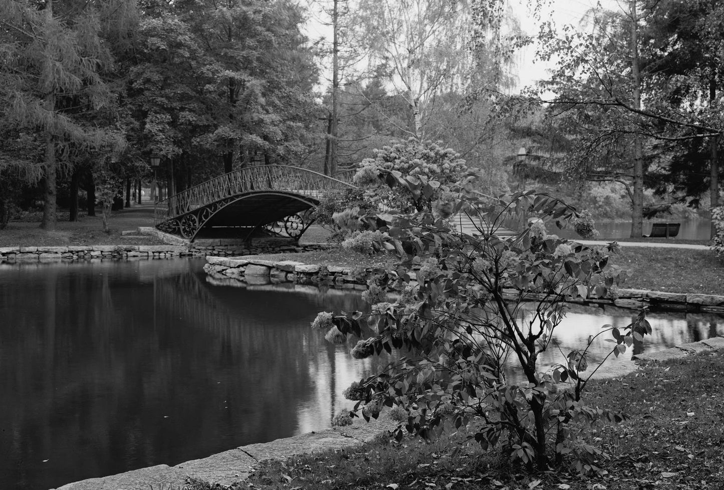 1910 Elm Park Worcester Massachusetts Old Photo Picture Print