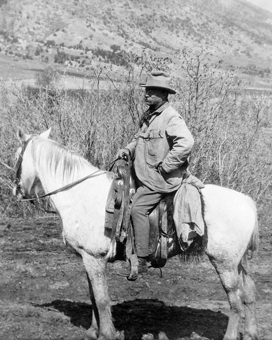 1910 Theodore 'Teddy' Roosevelt Glossy Photo President At Badlands Print