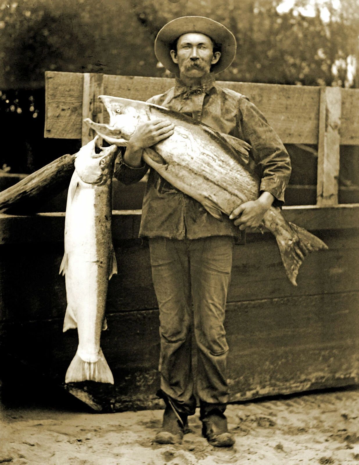 1914 Fisherman With Two Large Salmon Fish Vintage Old 300 Piece Jigsaw Puzzle