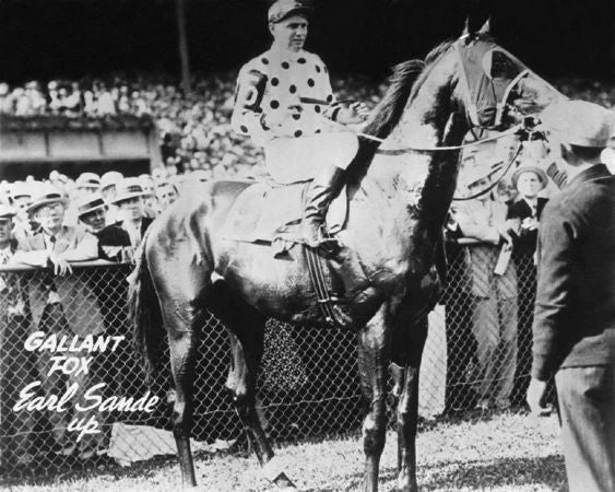 1930 Triple Crown Racehorse Gallant Fox Glossy Photo Horse Print Earl Sande