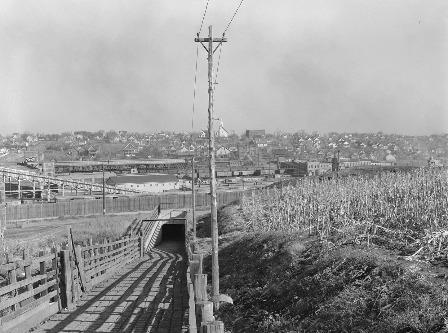 1938 Cattle Tunnel South Omaha Nebraska Old Vintage Photo Reprint
