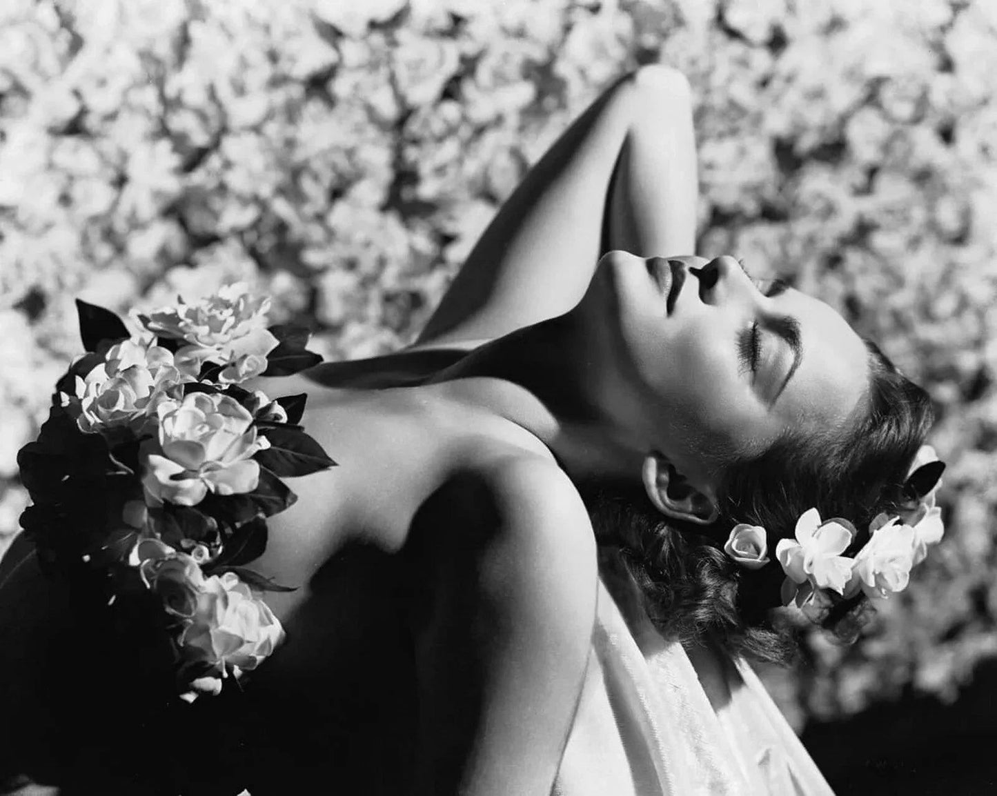 1938 Olivia De Havilland Classic Retro Sensual Picture Photo