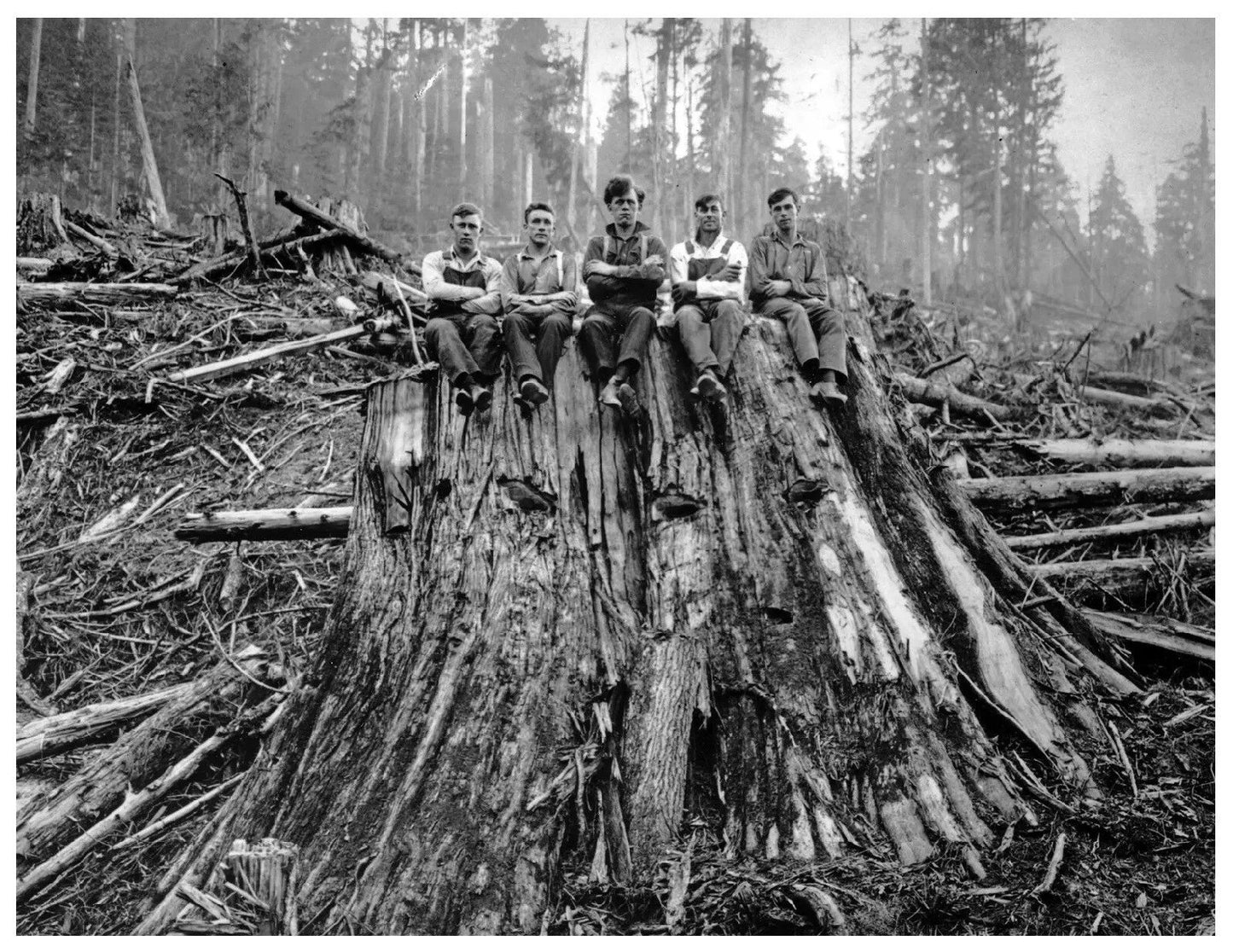 1938 Used Car Lot Lancaster Ohio Historic Vintage Retro 300 PCS Jigsaw Puzzle