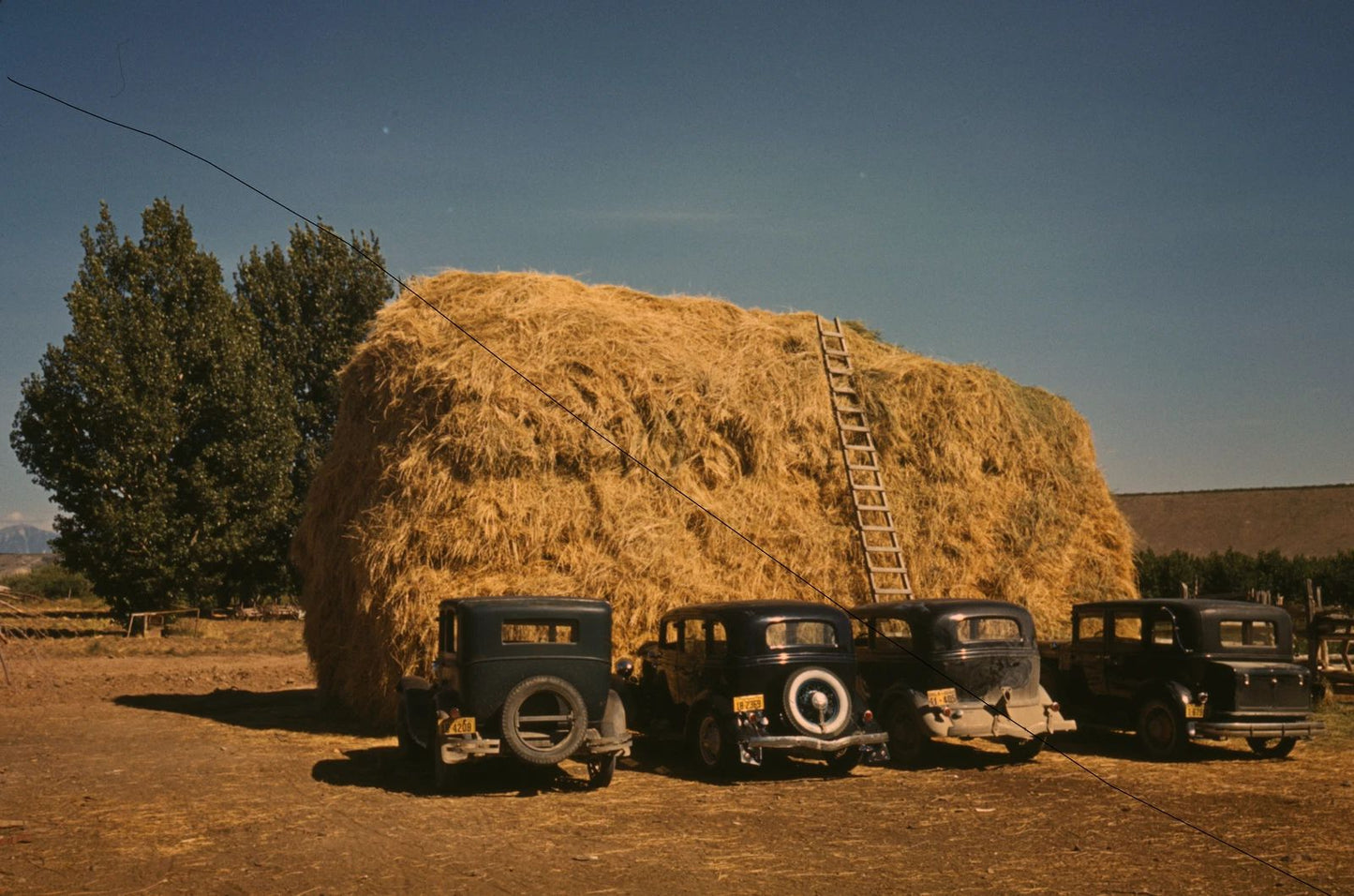 1939 Hay Stack And Automobile Of Peach Pickers Picture Poster Print Colorado Car