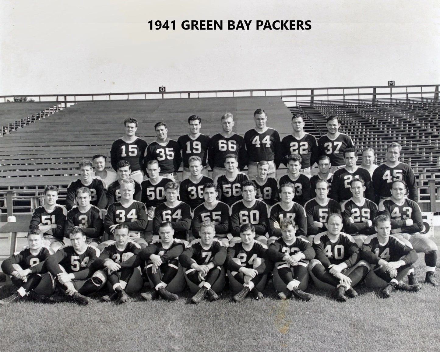 1941 Green Bay Packers Team Photo Football Nfl Picture 300 Piece Jigsaw Puzzle