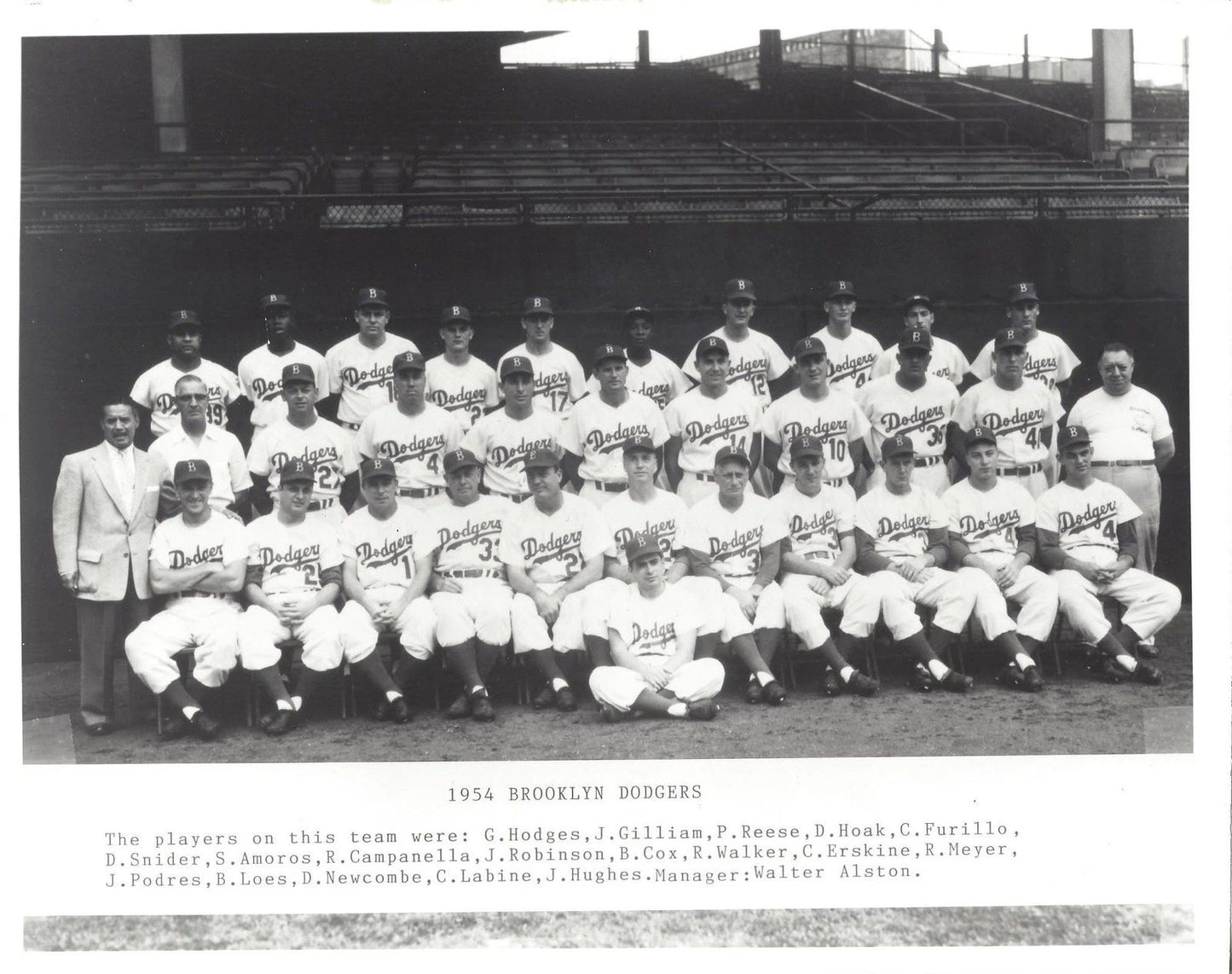 1954 Brooklyn Dodgers Team Photo Baseball Mlb Picture 300 Piece Jigsaw Puzzle