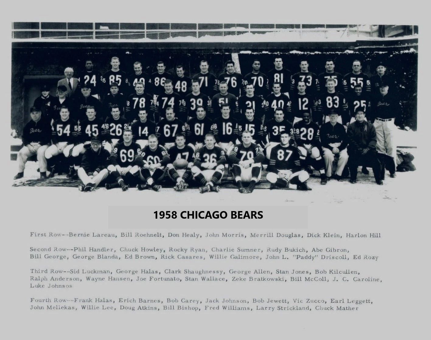 1958 Chicago Bears Team Photo Football Nfl Picture 300 Piece Jigsaw Puzzle