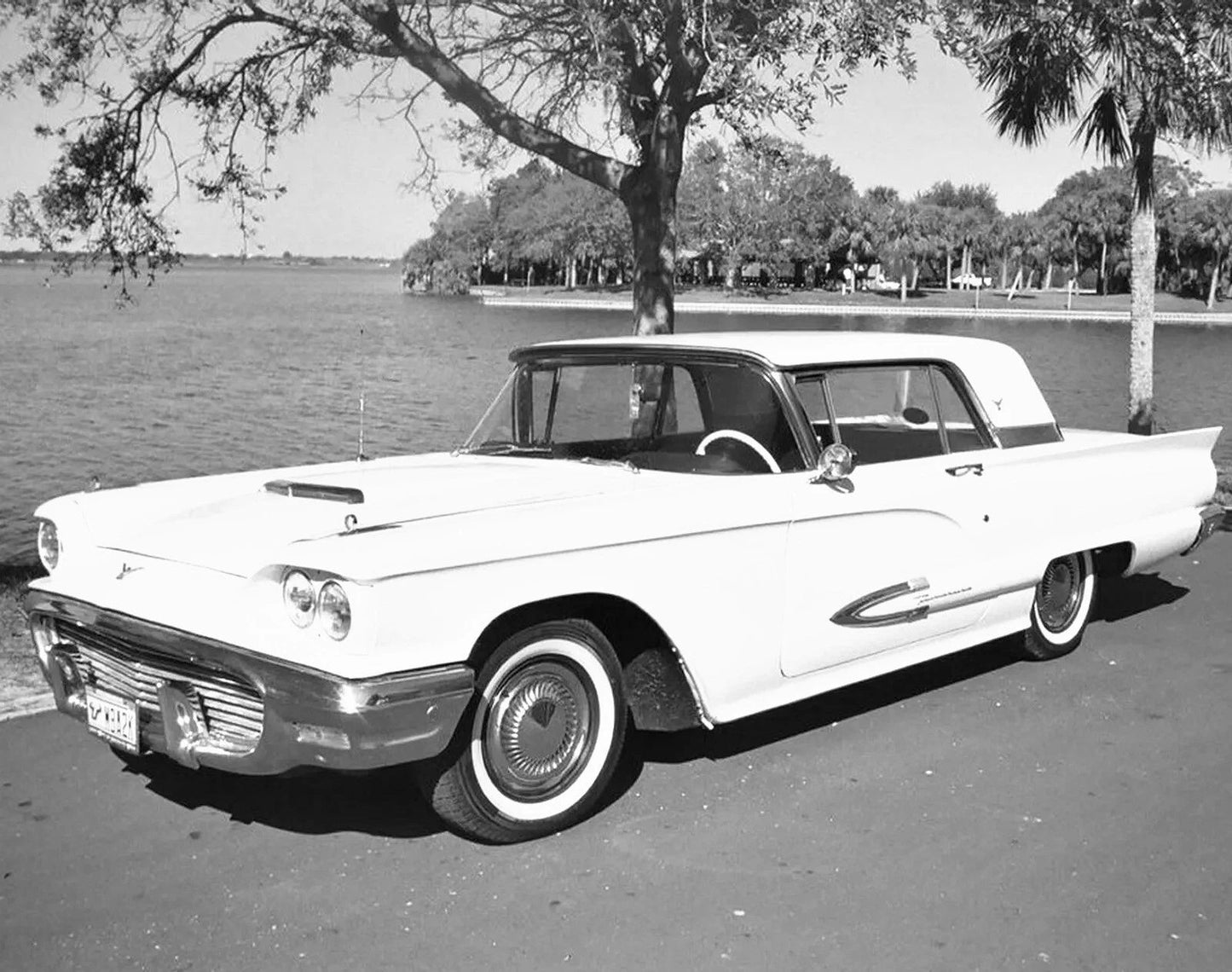 1959 Ford Thunderbird Classic Vintage American Car Photo 300 Piece Jigsaw Puzzle