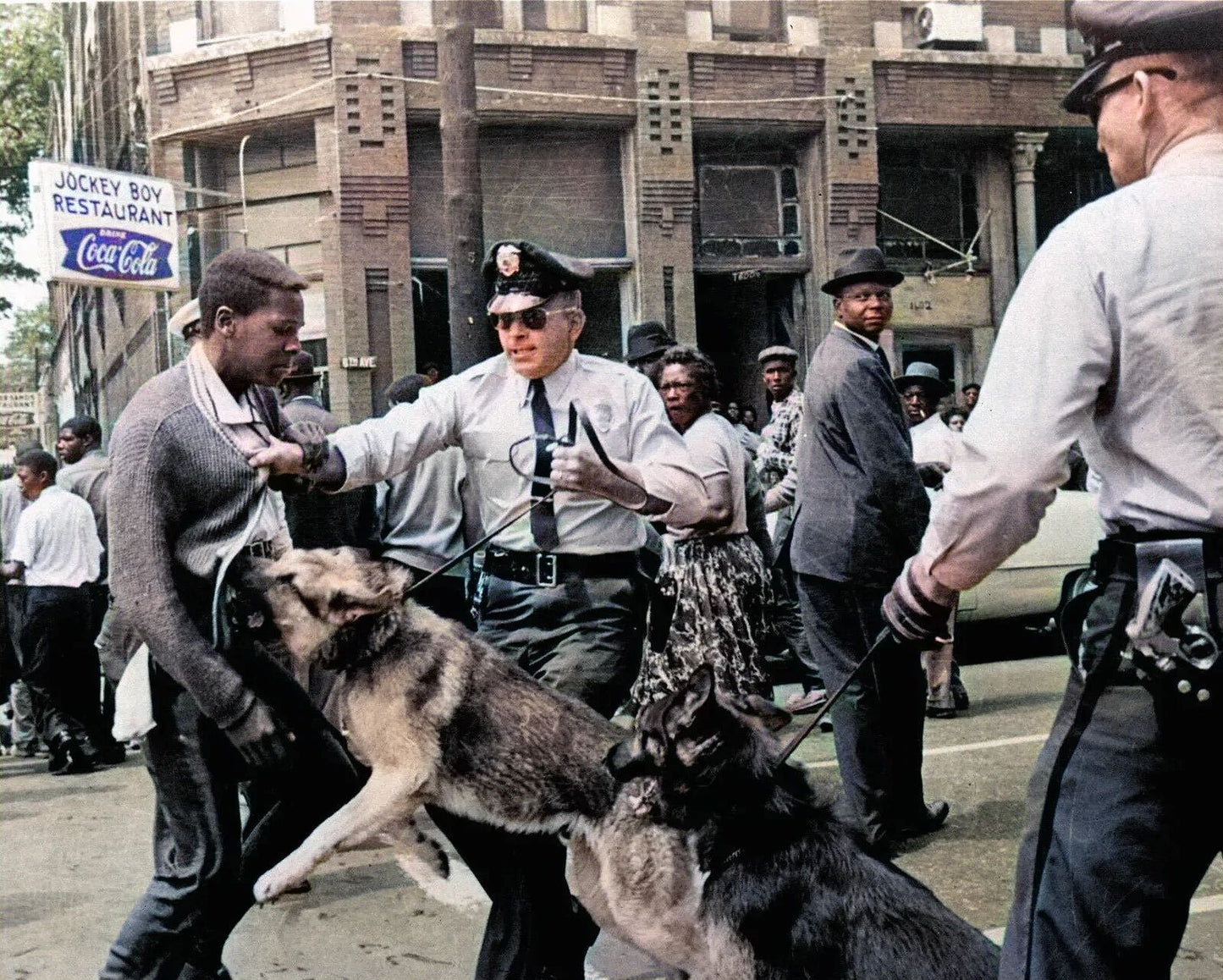 1963 Birmingham Police Dogs Attack Black Man Historic 300 Piece Jigsaw Puzzle