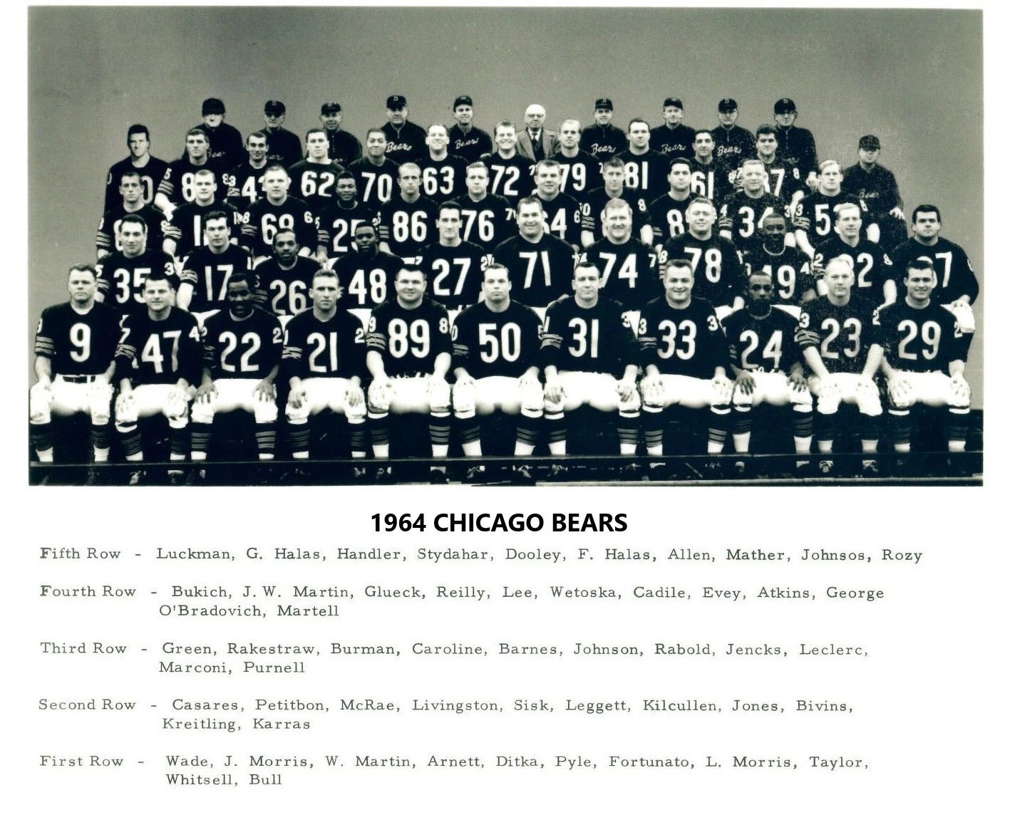 1964 Chicago Bears Team Photo Football Picture Nfl 300 Piece Jigsaw Puzzle