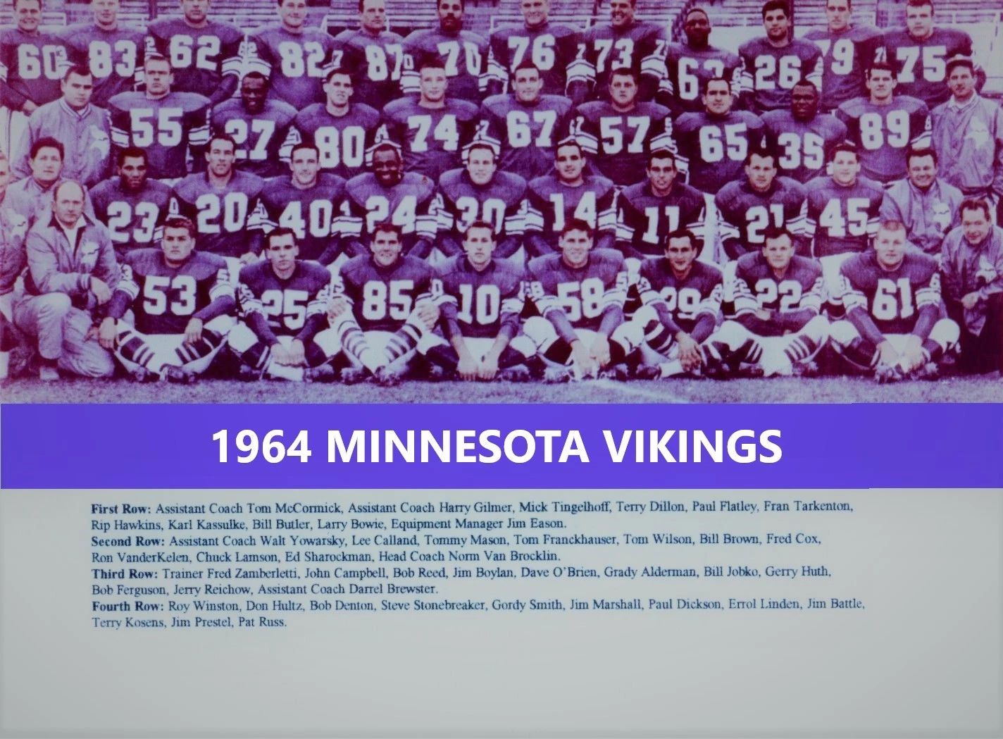 1964 Minnesota Vikings Team Photo Football Nfl Picture 300 Piece Jigsaw Puzzle