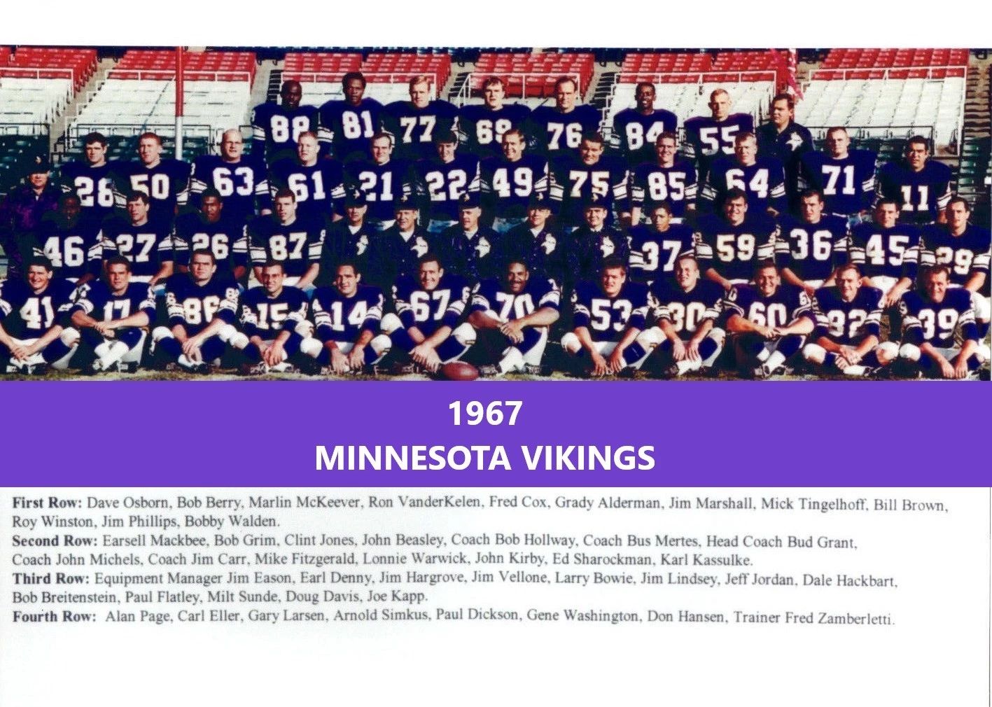 1967 Minnesota Vikings Team Photo Football Nfl Picture #2