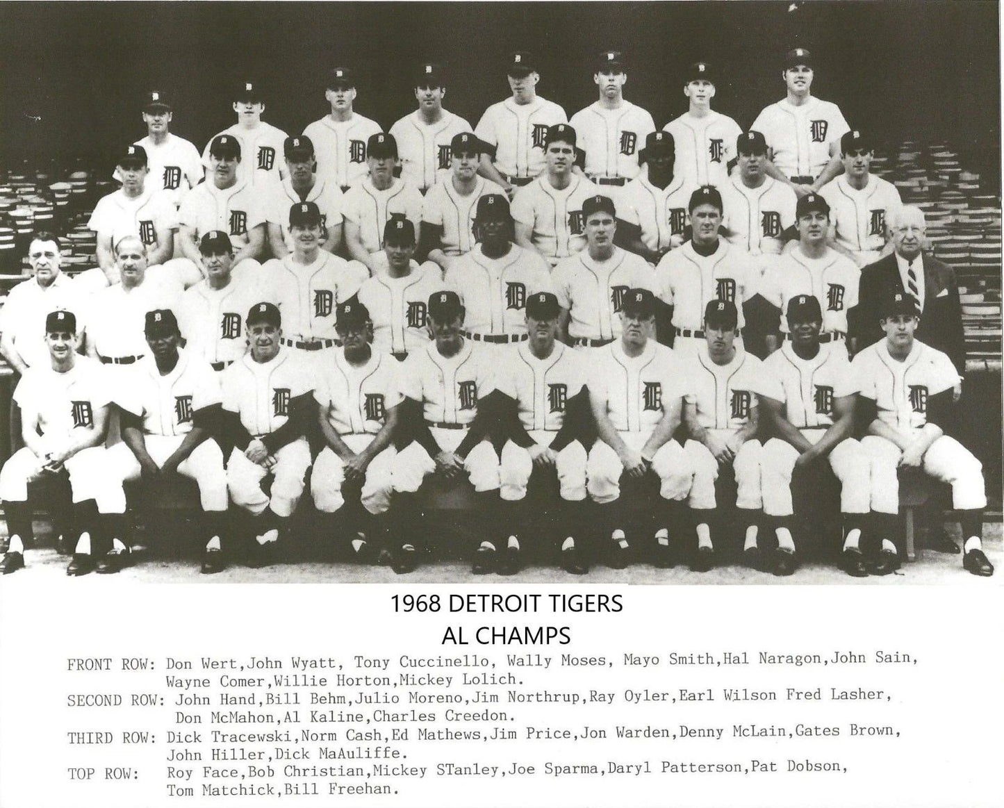 1968 Detroit Tigers Team Photo Baseball Al Champs Mlb 300 Piece Jigsaw Puzzle