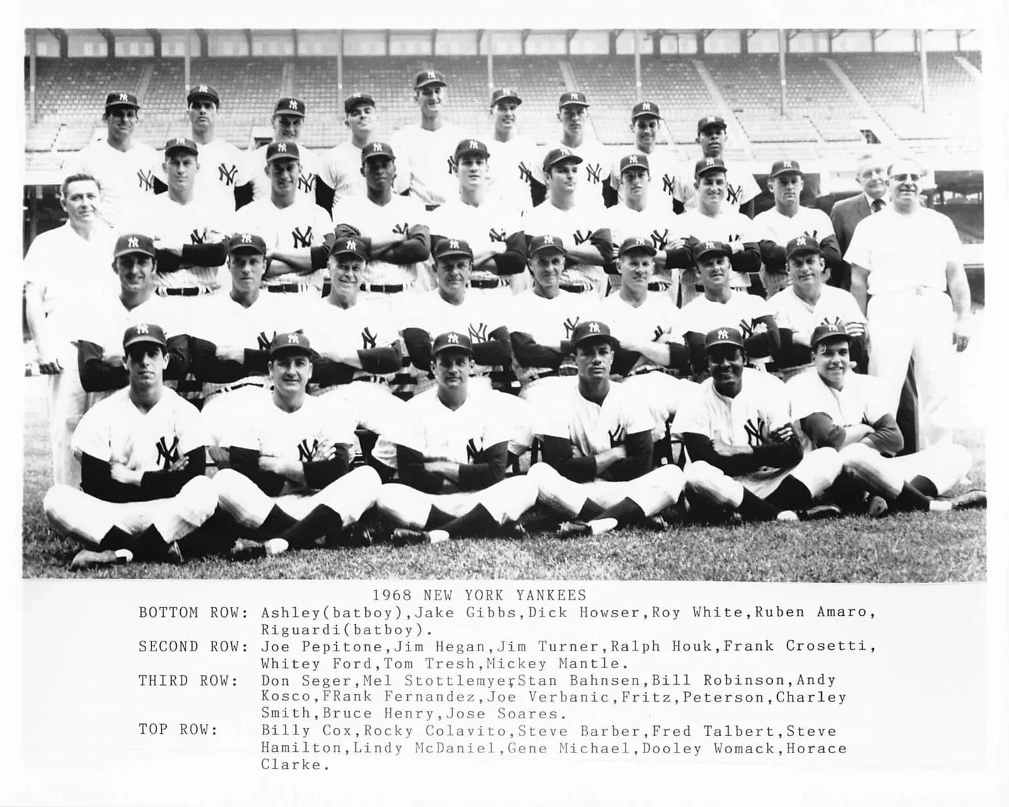 1968 New York Yankees Team Photo Baseball Mlb Picture Ny 300 Piece Jigsaw Puzzle