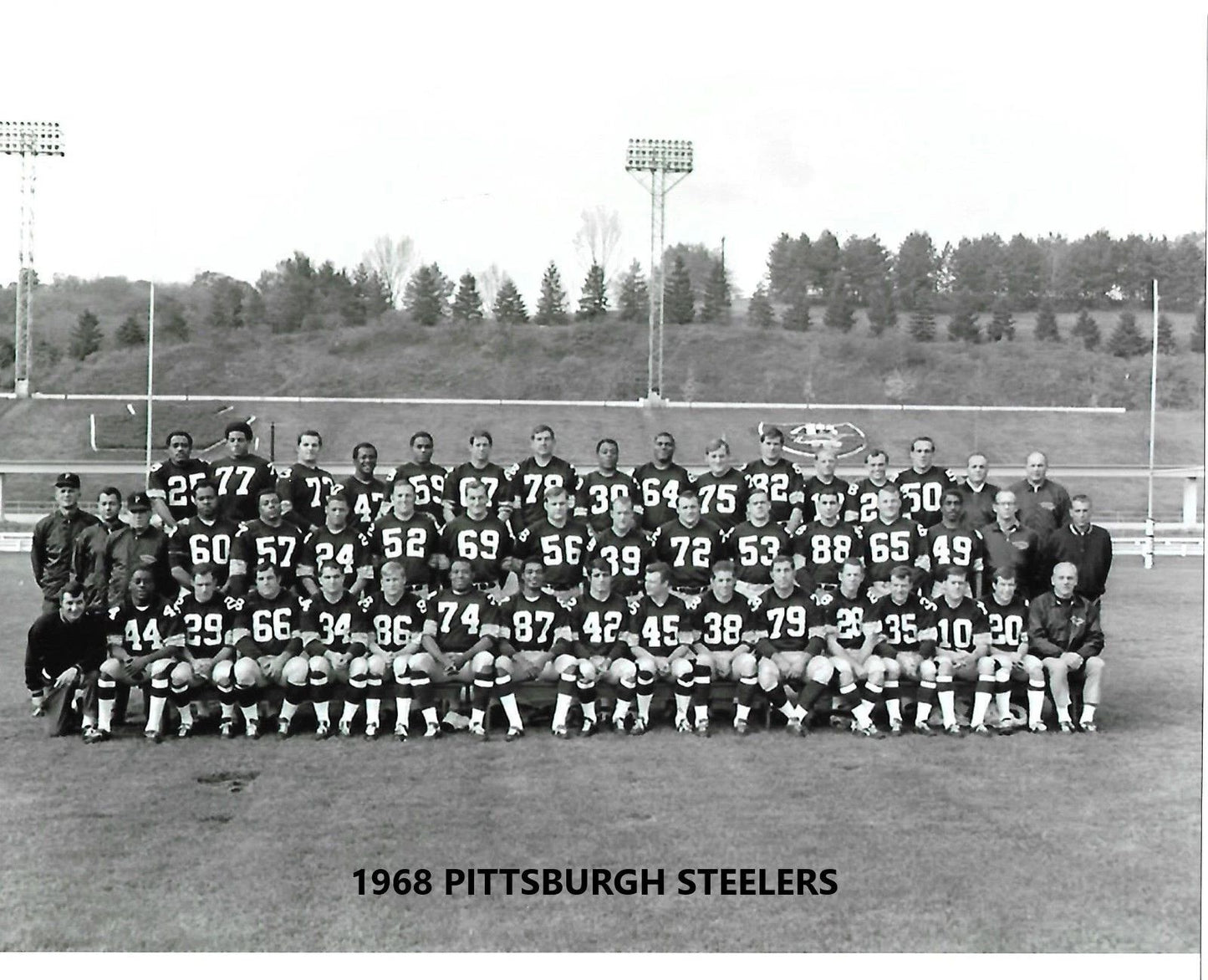 1968 Pittsburgh Steelers Team Photo Nfl Football Picture Bw