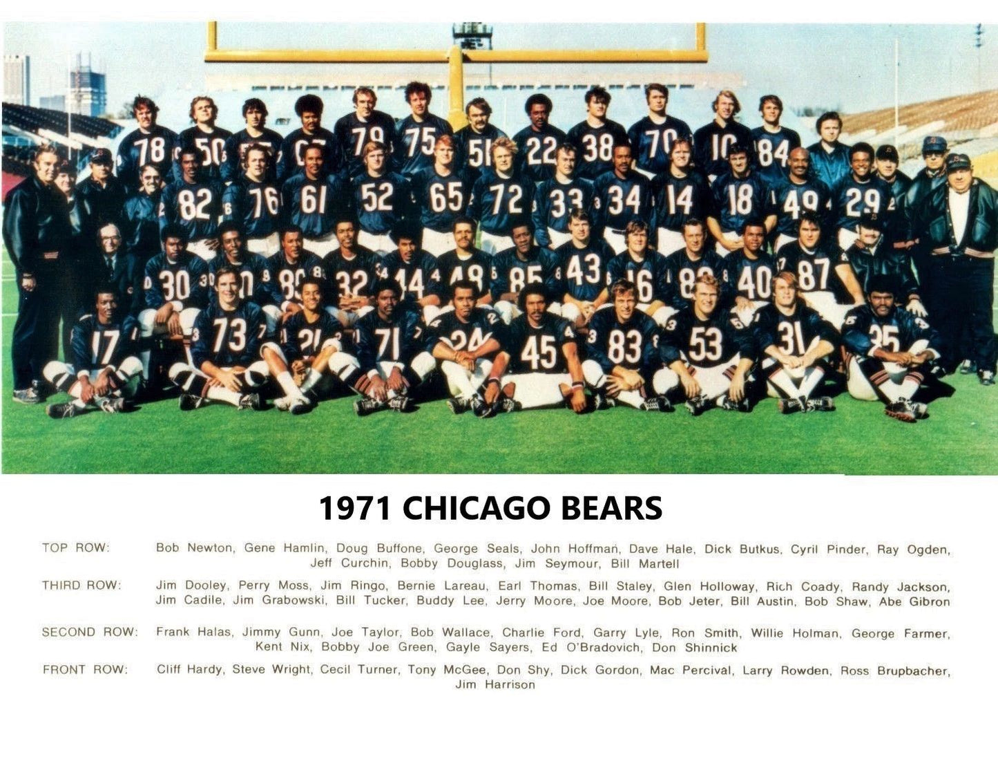 1971 Chicago Bears Team Photo Football Nfl Picture 300 Piece Jigsaw Puzzle