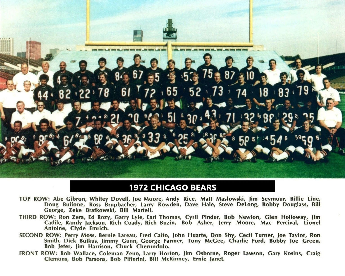 1972 Chicago Bears Team Photo Football Picture Nfl 300 Piece Jigsaw Puzzle
