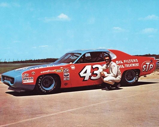 1973 Legend Driver Richard Petty Photo Stp Print Poster Plymouth Roadrunner