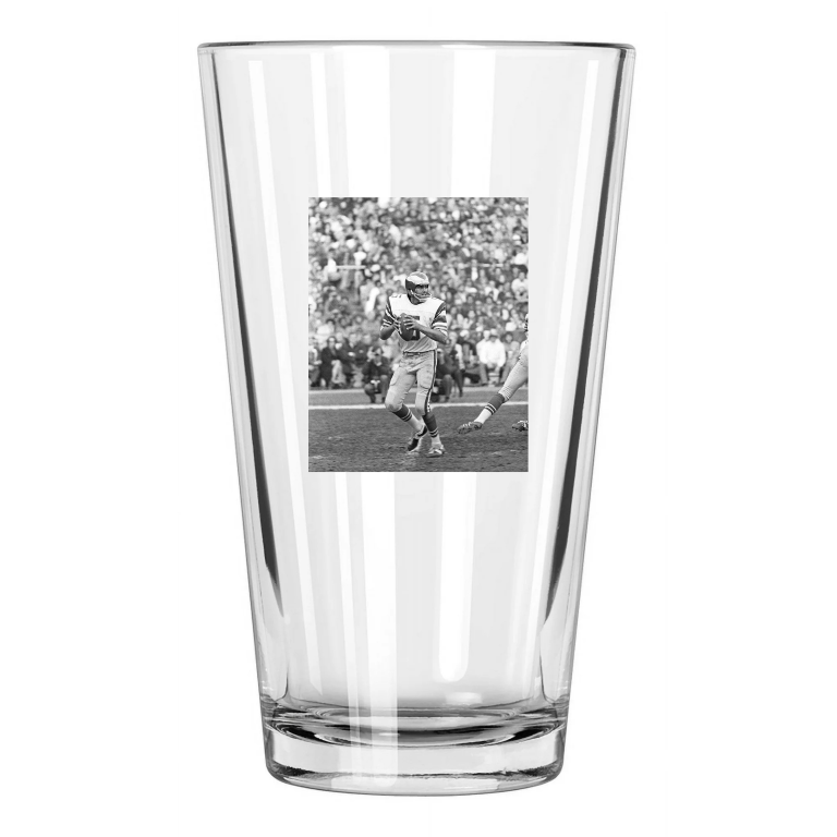 1974 Philadelphia Eagles Roman Gabriel Nfl Football Pint Beer Drinking Glass