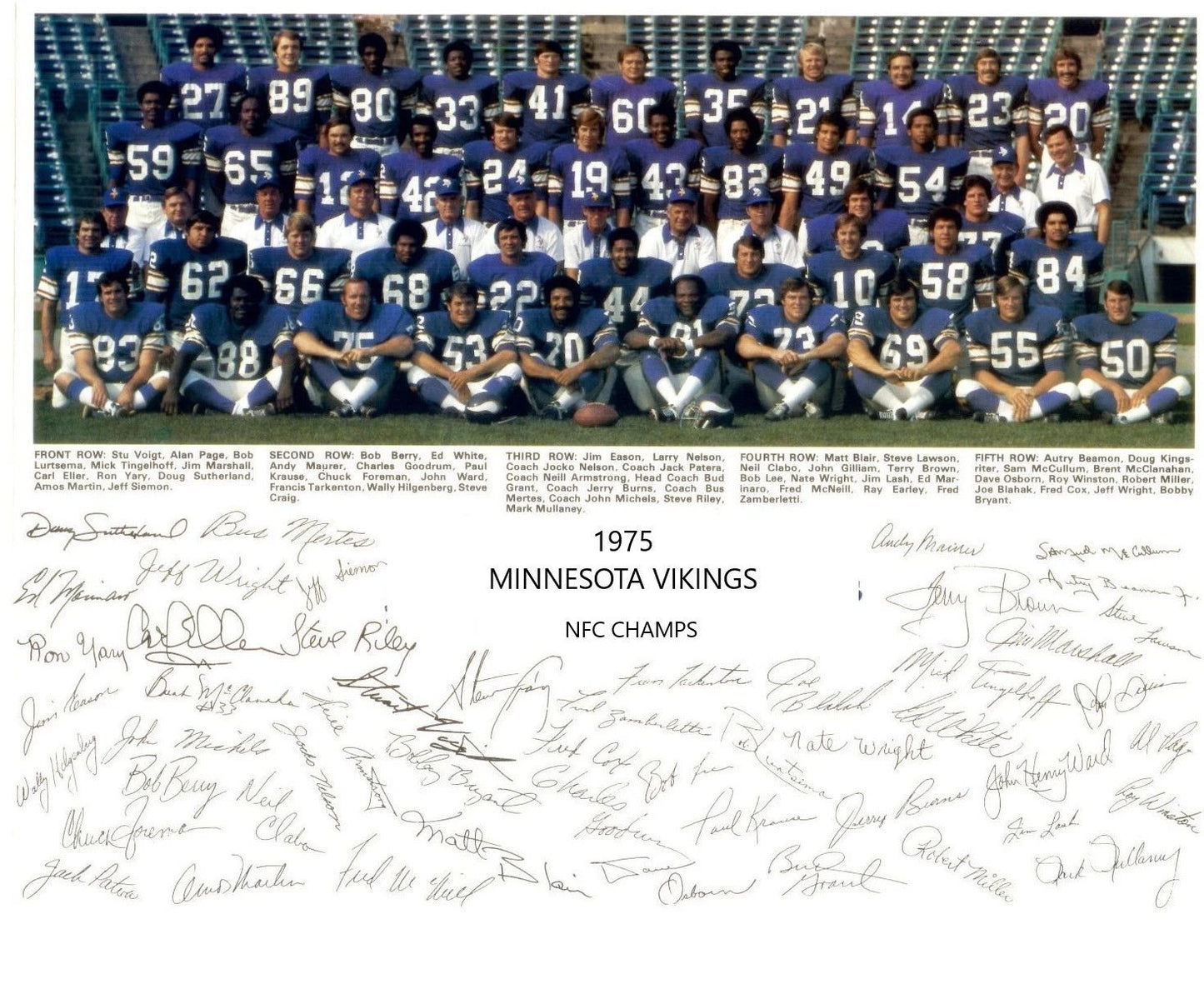 1975 Minnesota Vikings Team Photo Football Nfl Picture Nfc Champs