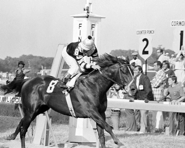 1977 Preakness Stakes Seattle Slew Glossy Photo Jean Cruguet Poster Print