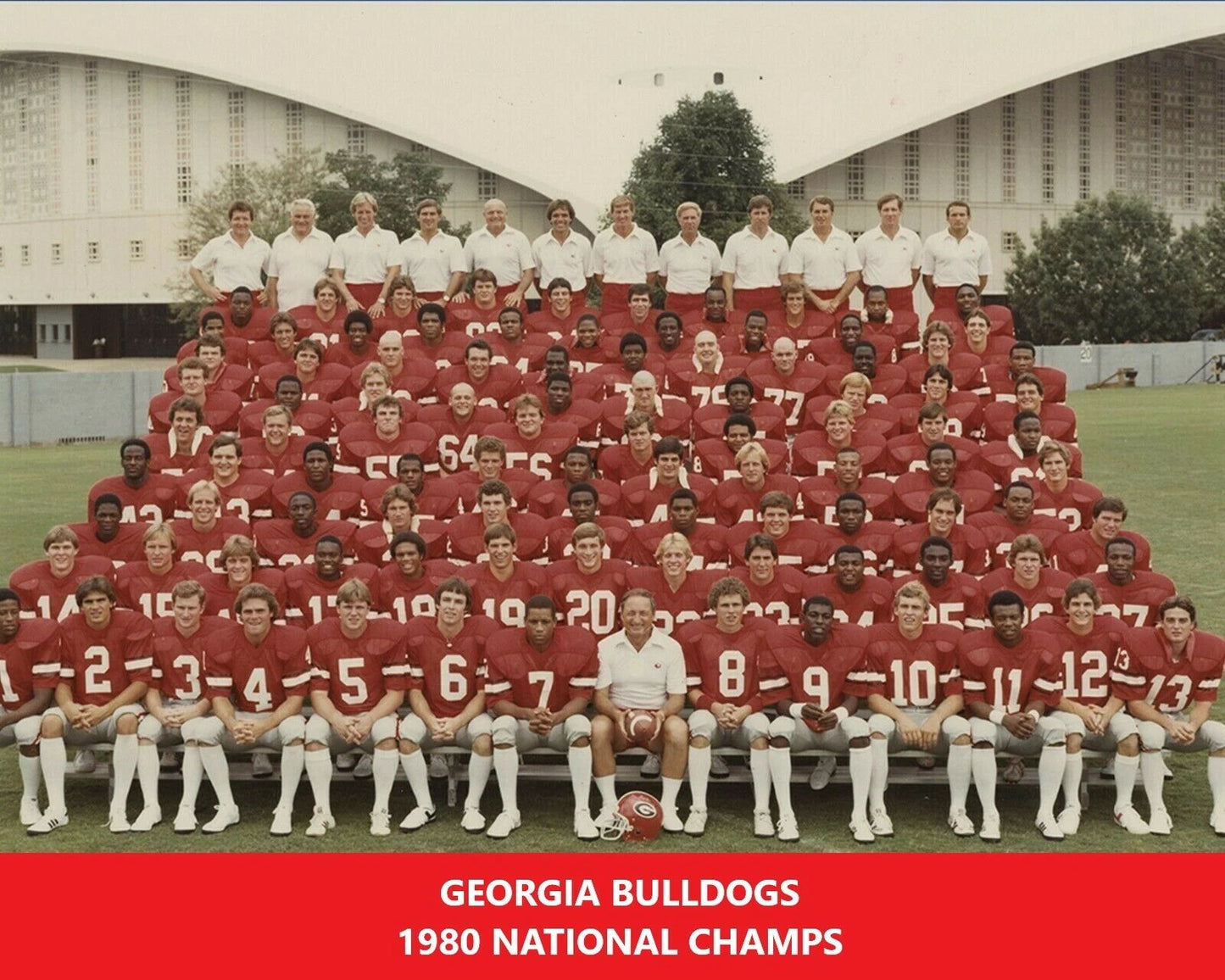 1980 Georgia Bulldogs Photo Picture Ncaa Football Champs