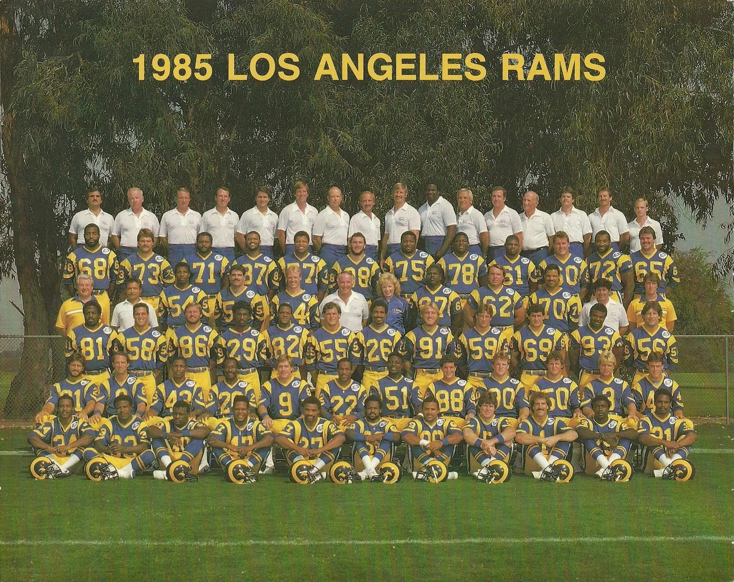 1985 Los Angeles Rams Team Photo Football Nfl Picture La
