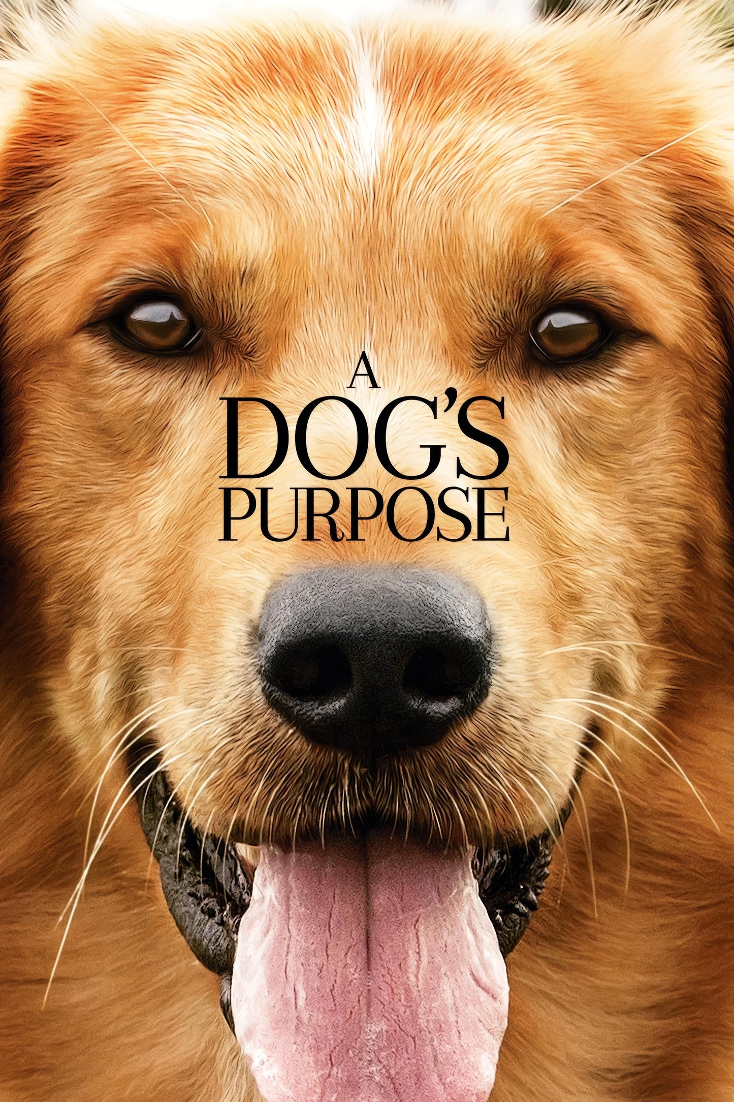 A Dog S Purpose (2017) Movie Poster