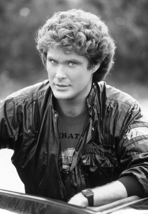 Actor David Hasselhoff Classic Tv Show Knight Rider 300 Piece Jigsaw Puzzle