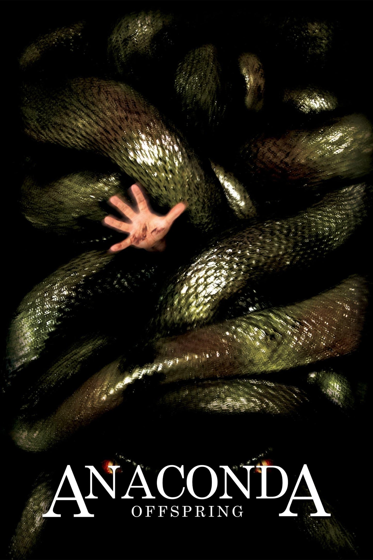 Anaconda 3 Offspring (2008) Movie Poster