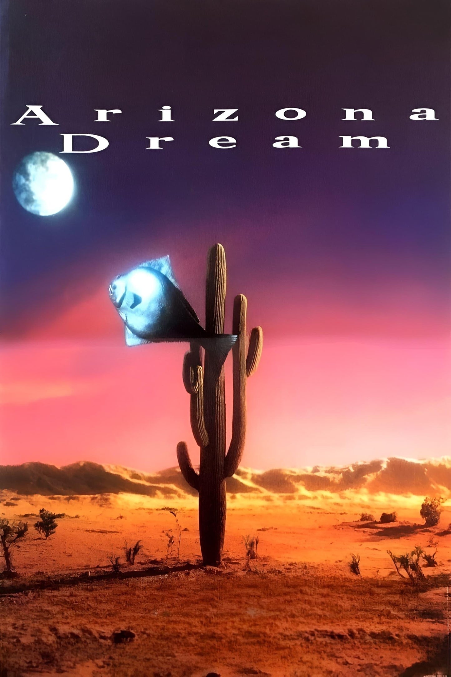 Arizona Dream (1993) Movie Poster
