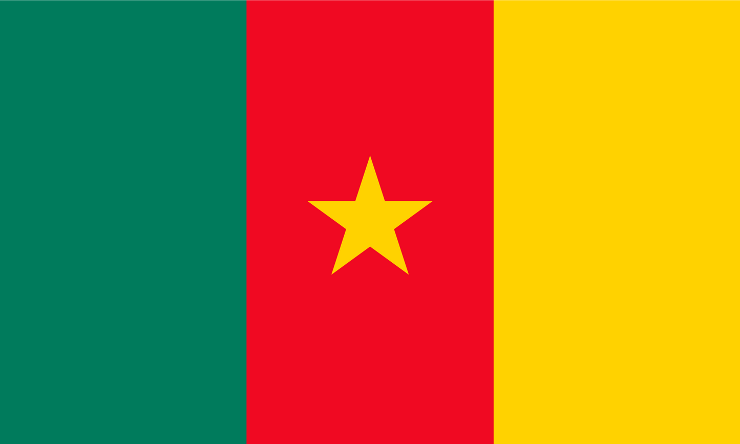Cameroon Flag Print Poster