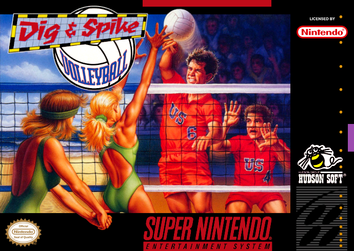 Dig & Spike Volleyball (Usa) Snes Print Poster