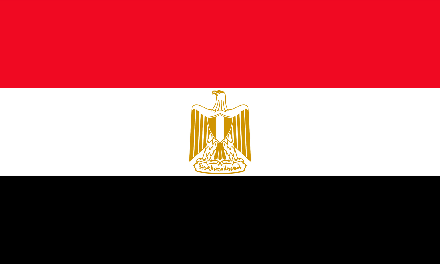 Egypt Flag Print Poster