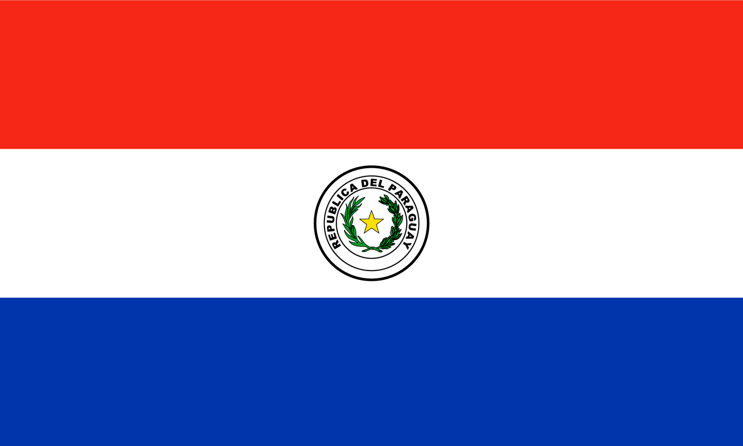 Paraguay Flag Print Poster