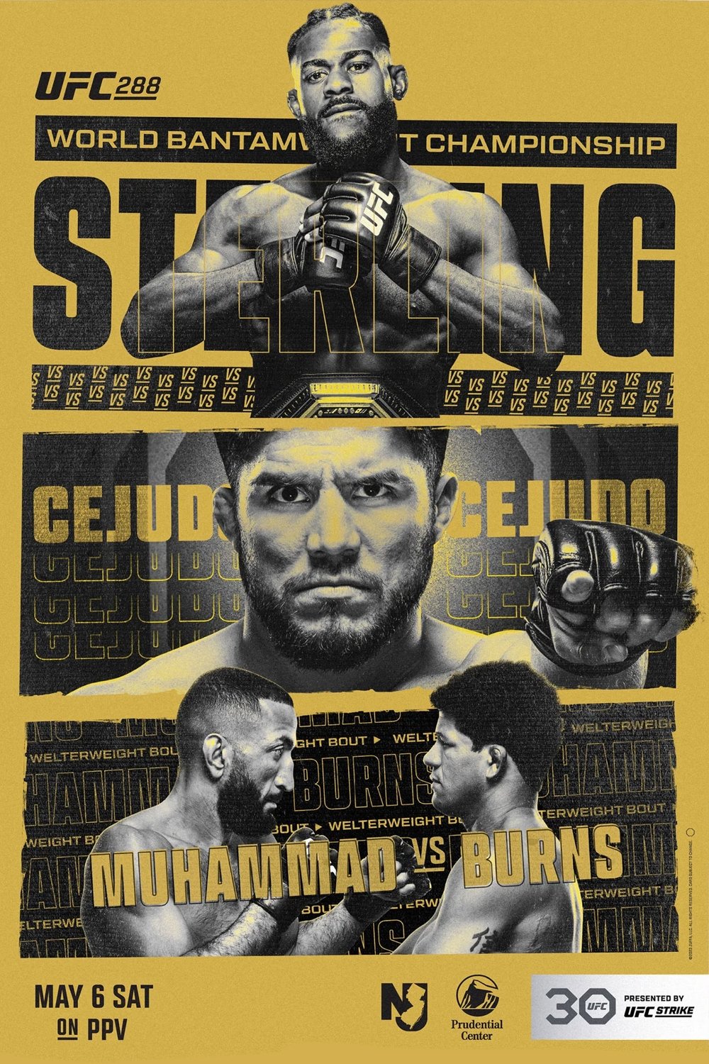 UFC 288 Sterling Vs. Cejudo Poster Print