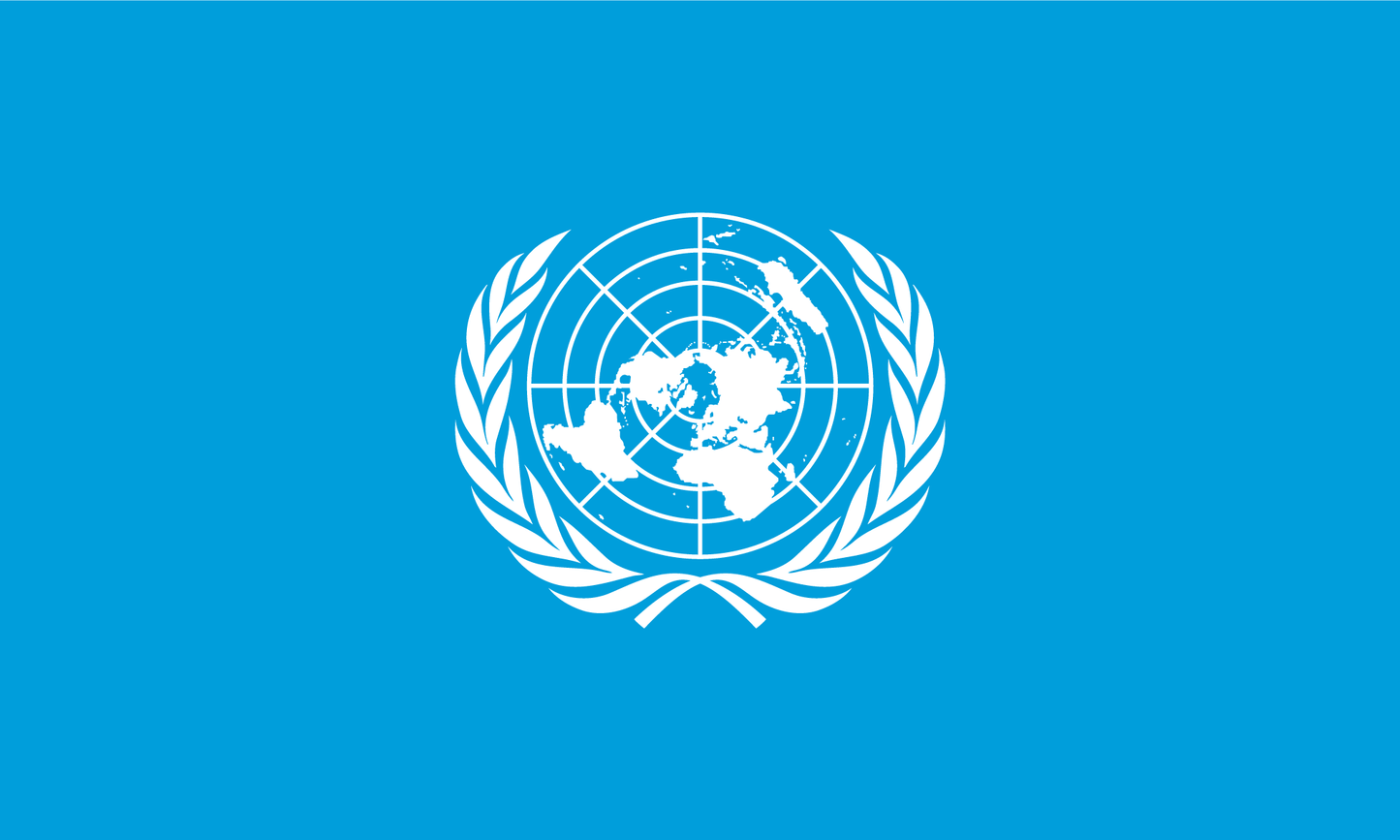 United Nations Flag Print Poster