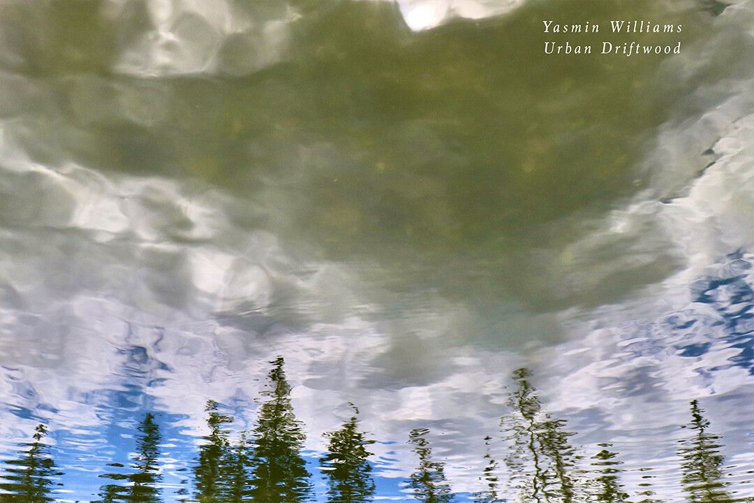 Yasmin Williams Urban Driftwood Music Album Wall Art Home Decor Poster