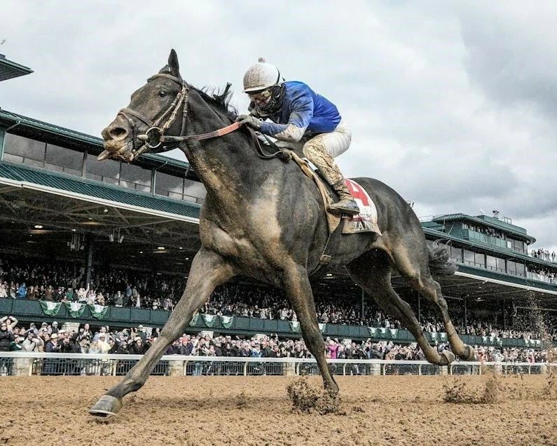 Zandon Photo Horse Racing Picture Jockey Flavien Prat Up
