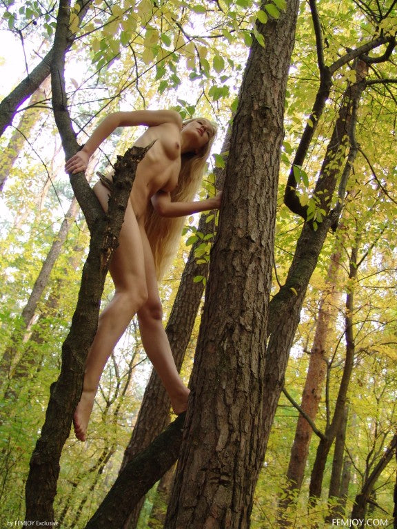 PHOTO (ART NUDES) FINE ART Professional FEMALE MODEL 8x10 Print