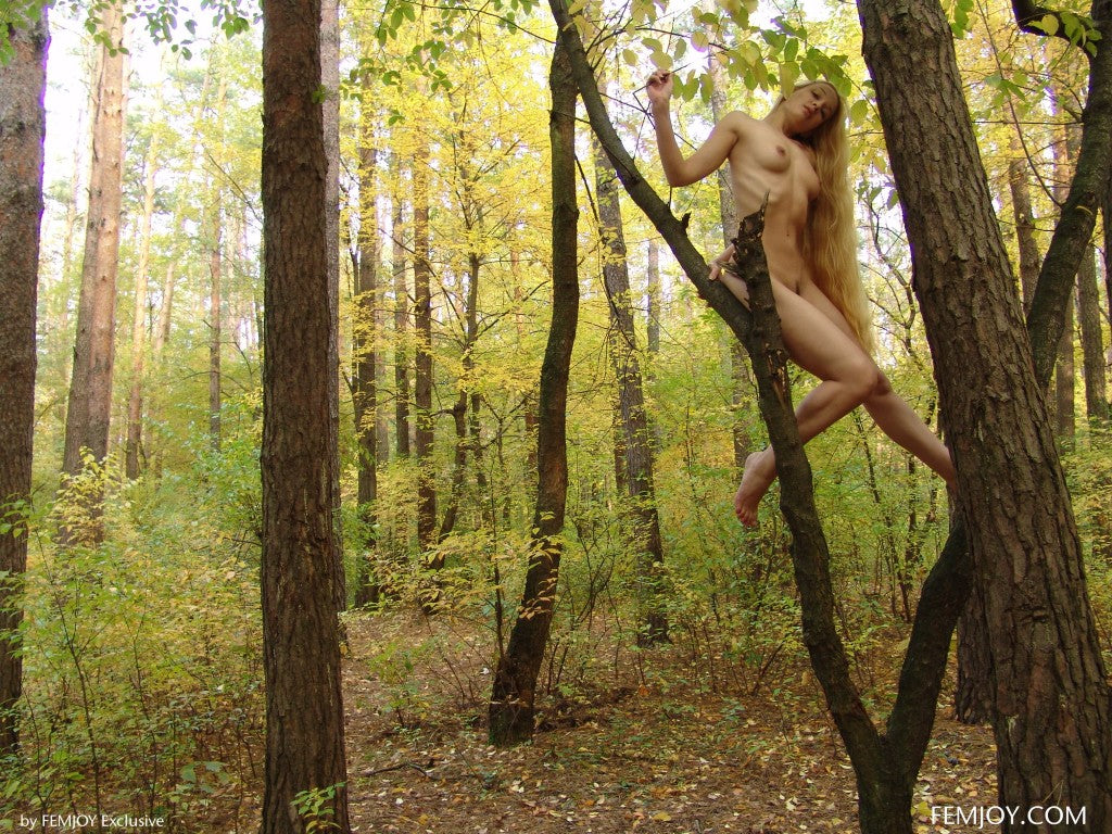 PHOTO (ART NUDES) FINE ART Professional FEMALE MODEL 8x10 Print