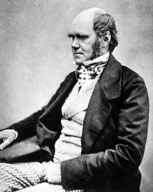 1854 Scientist Charles Robert Darwin Glossy Photo Evolution Print Poster