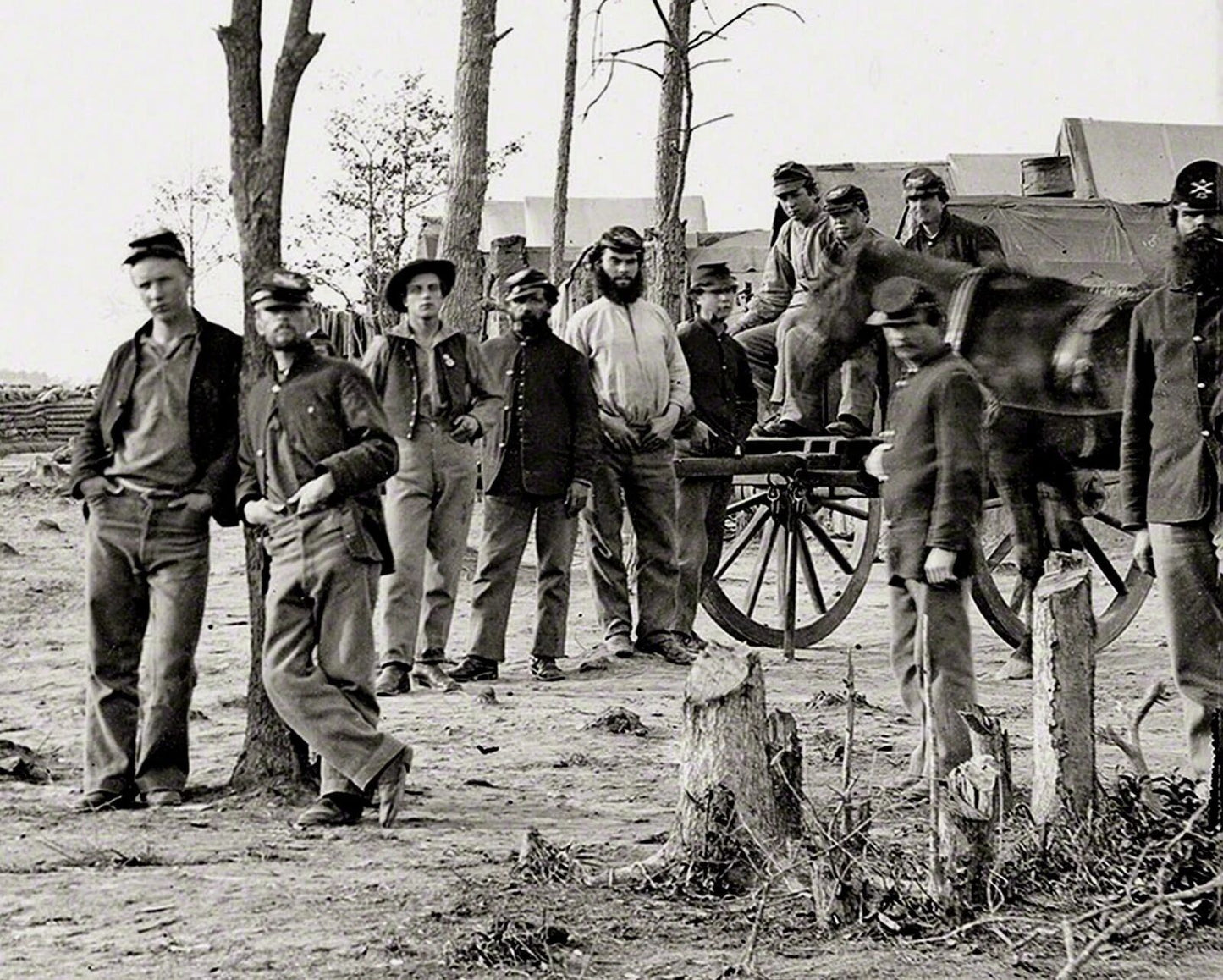 1865 13Th Ny Heavy Artillery In Petersburg Civil War Historic Picture Photo