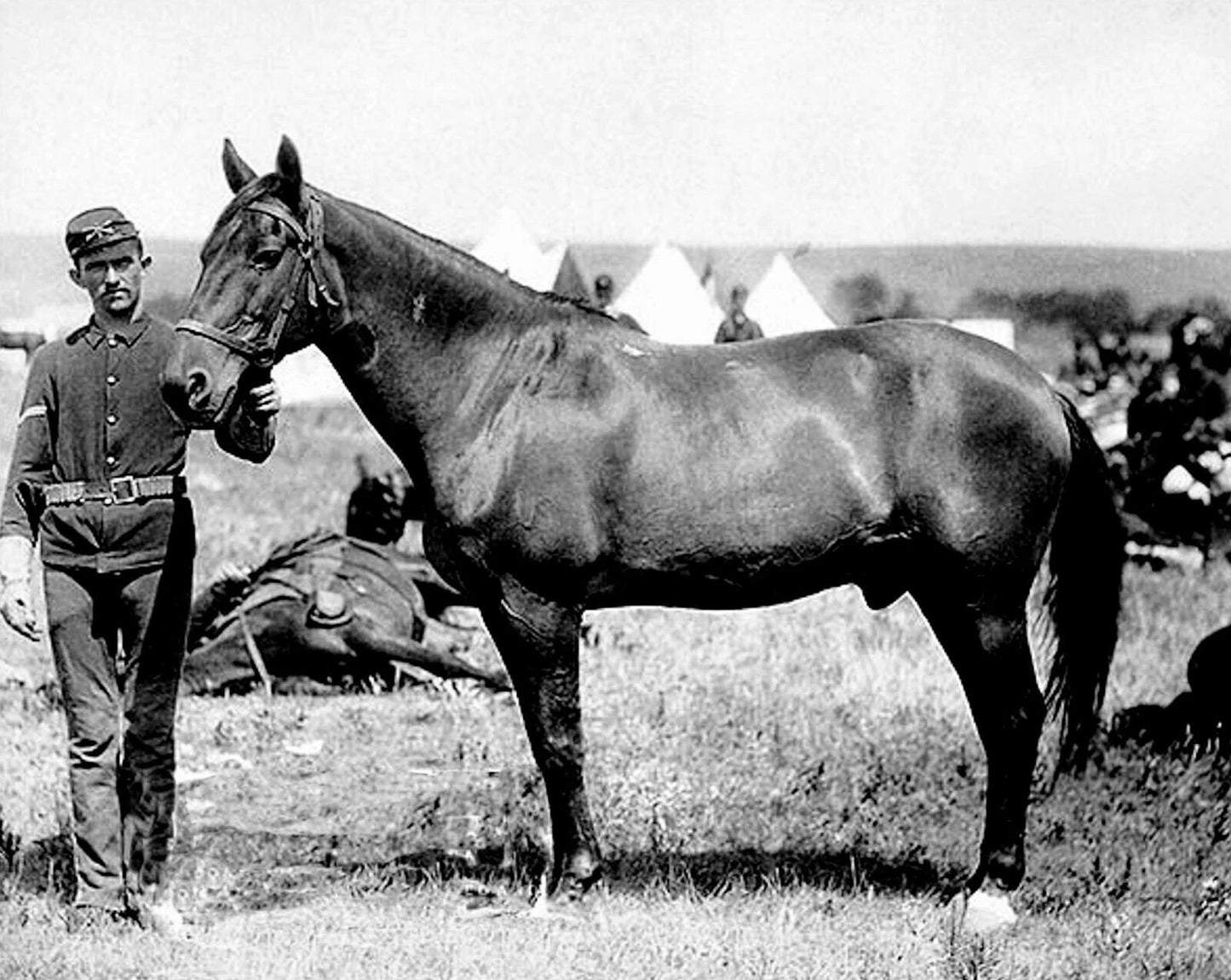 1876 Lone Survivor Of Custer'S Last Stand Historic Magnet Magnet
